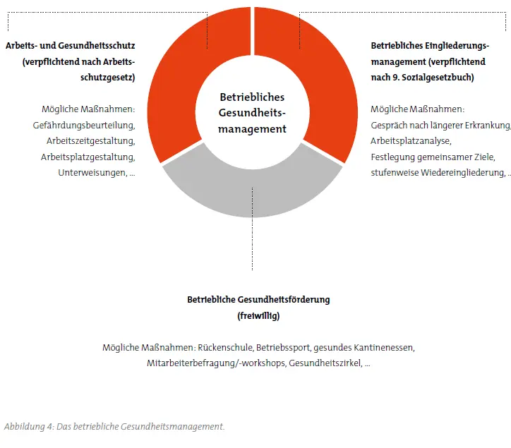 © RKW Kompetenzzentrum / RKW Kompetenzzentrum Schema des betrieblichen Gesundheitsmanagements