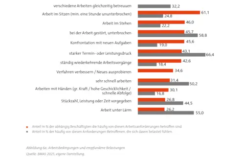 Arbeitsbedingungen und empfundene Belastungen (a) – © RKW Kompetenzzentrum / RKW Kompetenzzentrum Arbeitsbedingungen und empfundene Belastungen